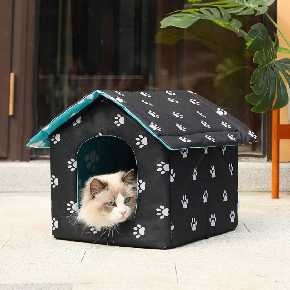 Cat House Tent Indoor Pet Hideaway with Window Bed