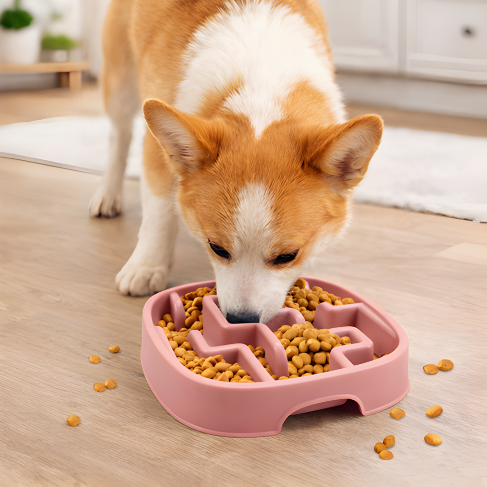Dog Slow Feeder Bowl Anti Gulp Puzzle Feeding Dish
