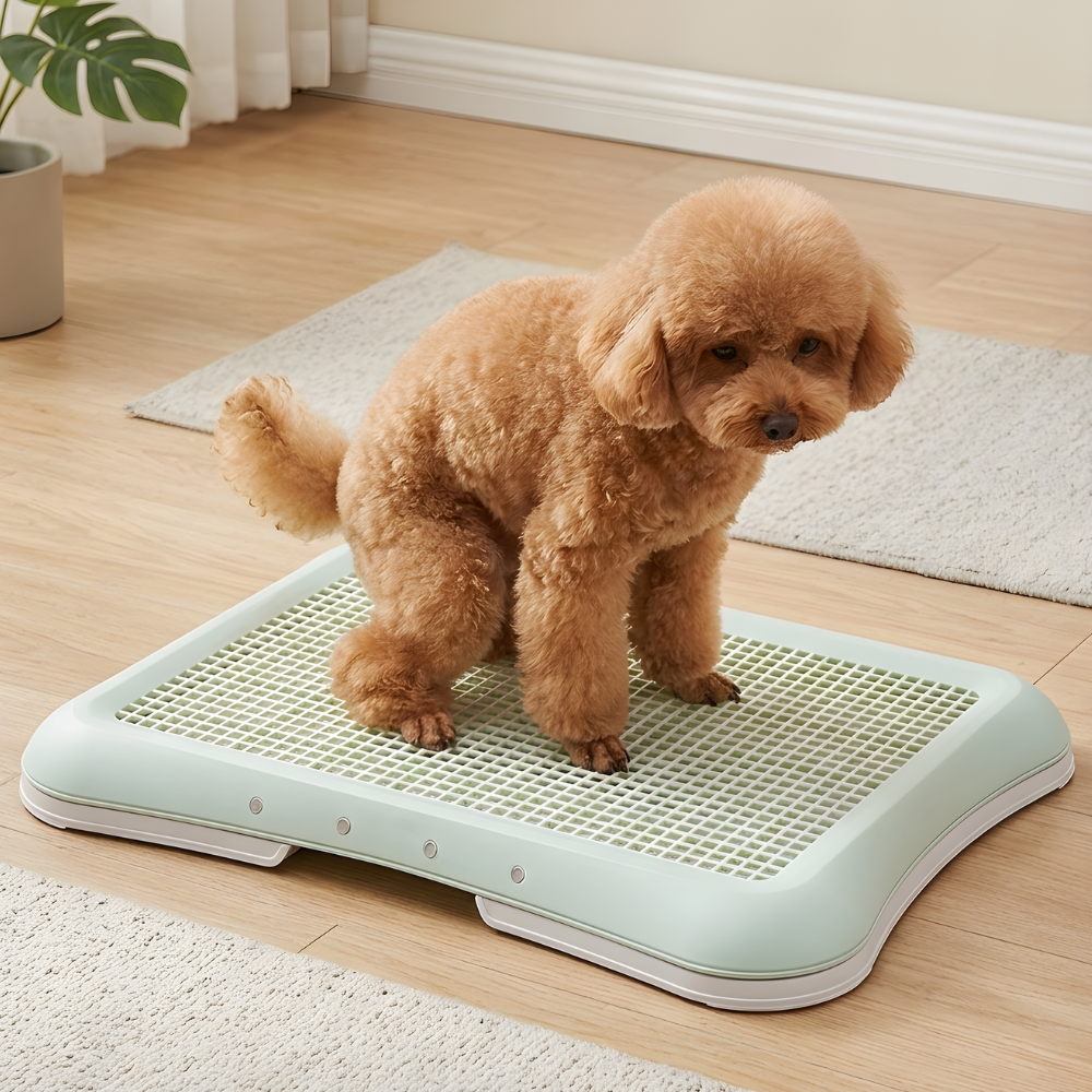 Indoor Dog Toilet Training Tray Puppy Pad Holder Potty