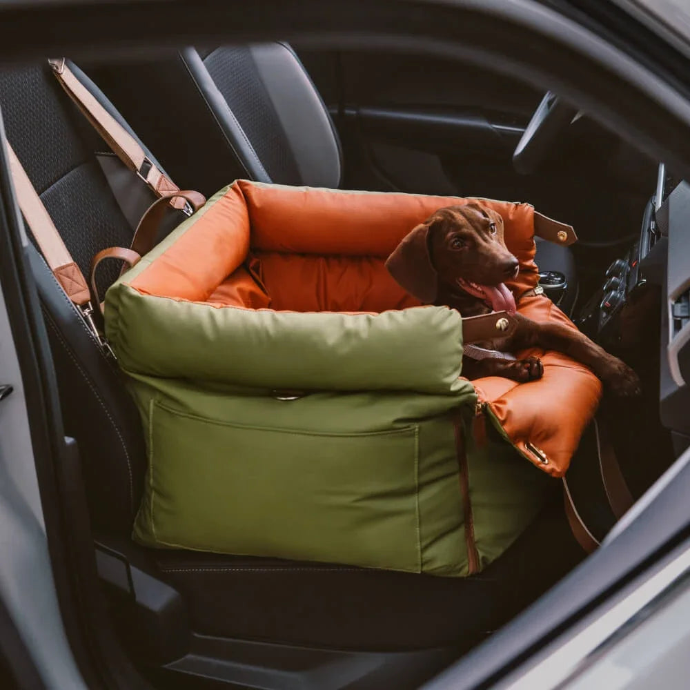 Dog Car Seat Carrier Travel Booster with Straps