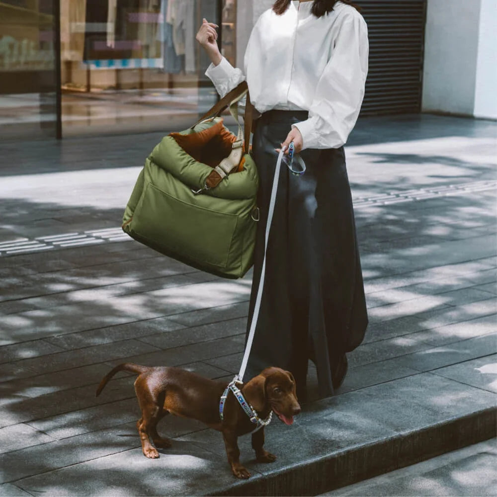 Dog Car Seat Carrier Travel Booster with Straps