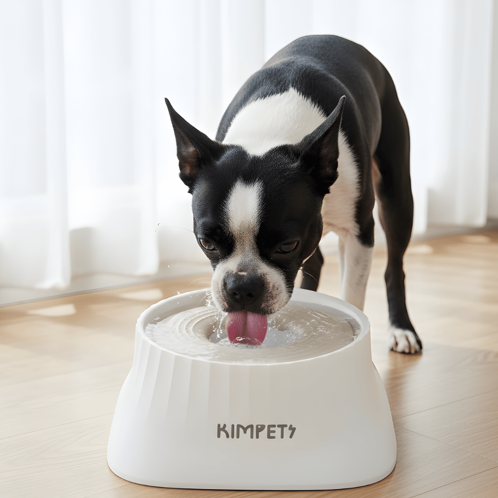 Dog Water Indoor Pet Drinking Dispenser