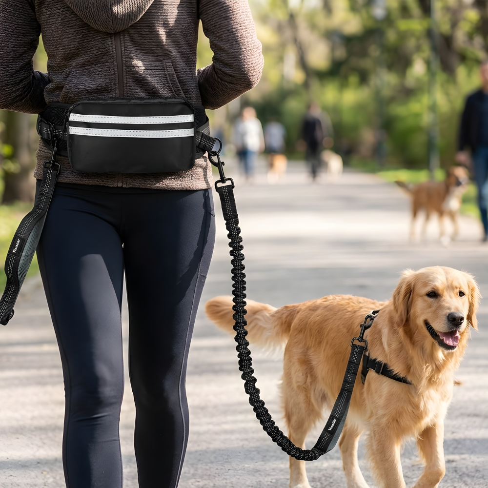 Hands Free Double Dog Lead Bungee Running Waist Belt