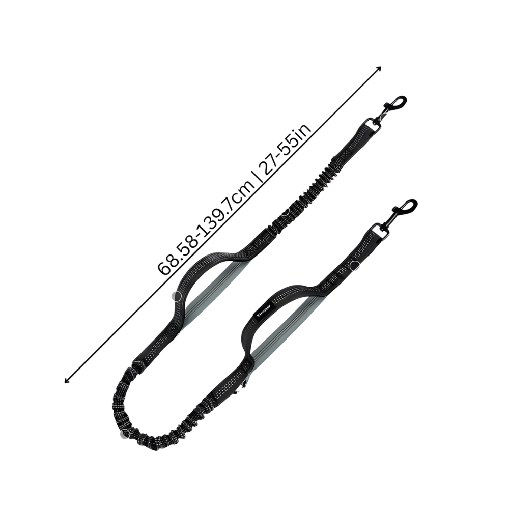 Hands Free Double Dog Lead Bungee Running Waist Belt