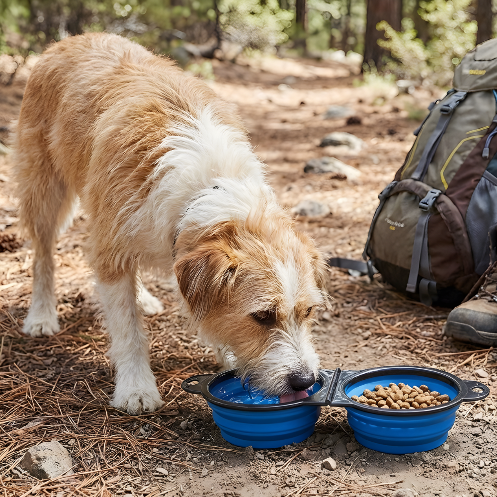 Dog Bowl Collapsible Pet Food Water Feeder