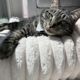 Cat Sofa Bed Plush Bolster Lounger with Raised Sides
