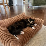 Cat Sofa Bed Plush Bolster Lounger with Raised Sides