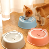 Dog Anti Spill Indoor Pet Drinking Bowl