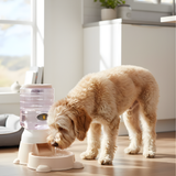 Dog Food Dispenser Gravity Pet Feeder Bowl