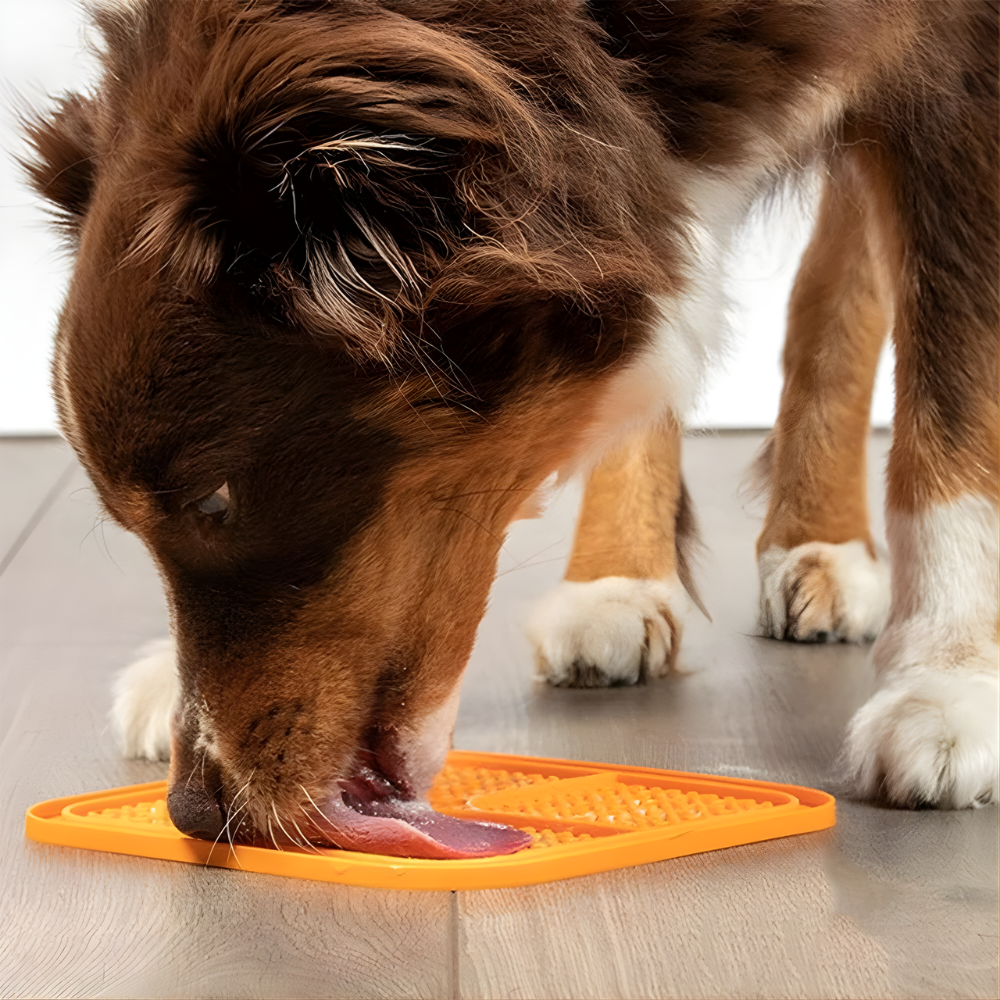Dog Lick Mat Slow Feeder Silicone Pad (2 Pack Set)