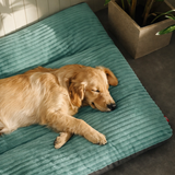 Large Corduroy Dog Bed Thick Cushion Washable Pet Mattress