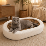 Cat Scratch Lounge