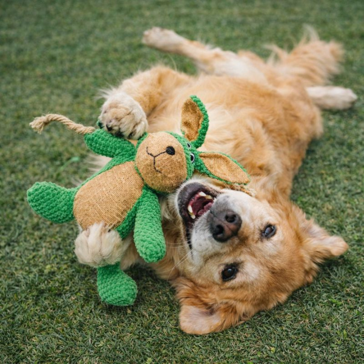 Dog Plush Squeaky Toy Soft Animal Chew Toy with Rope Tail