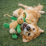 Dog Plush Squeaky Toy Soft Animal Chew Toy with Rope Tail
