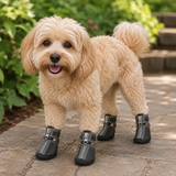Dog Shoes - Lightweight and Breathable Outdoor Booties For Puppies and Dogs