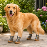 Dog Shoes - Lightweight and Breathable Outdoor Booties For Puppies and Dogs