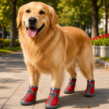 Dog Shoes - Lightweight and Breathable Outdoor Booties For Puppies and Dogs