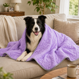 Pet Cooling Blanket - Cooling Blanket For Dogs and Cats