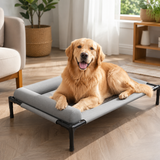 Elevate Dog Bed - Large Raised Pet Bed for Dogs and Cats