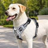 No Pull Dog Harness - Adjustable Reflective Soft Padded Dog Harness