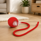 Interactive Pet Toy - Smart Dog and Cat Pet Toy Ball