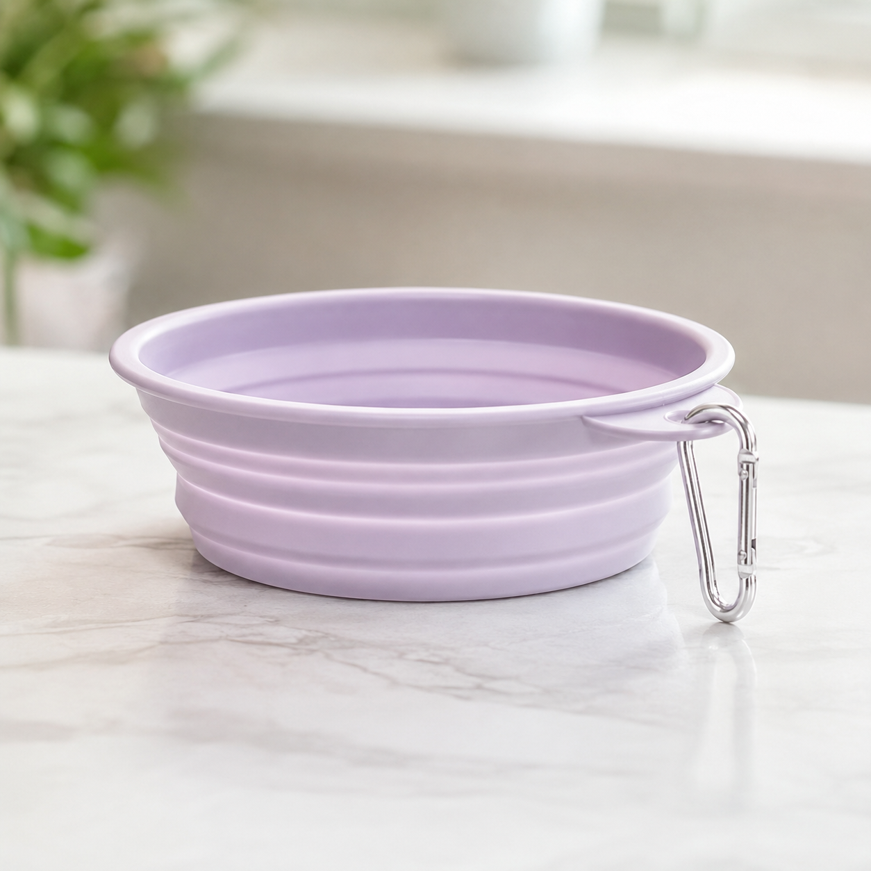 Pet Bowl - Portable Foldable Bowl For Cats and Dogs Outdoor Travel Silicone Bowl