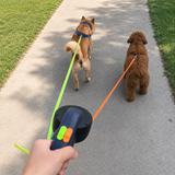 Dual Dog Leash - Tangle Free Dog Leash