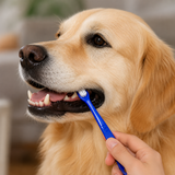 Dog Toothbrush - Soft Bristle Pet Dental Care Teeth Cleaning (3-Pack)