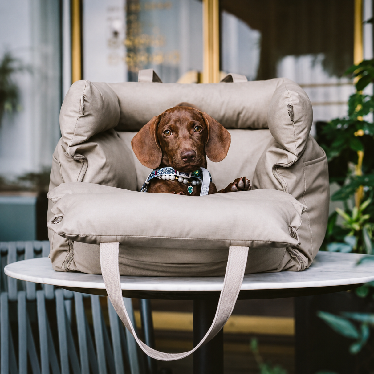 Dog Car Seat Carrier Front Booster Travel