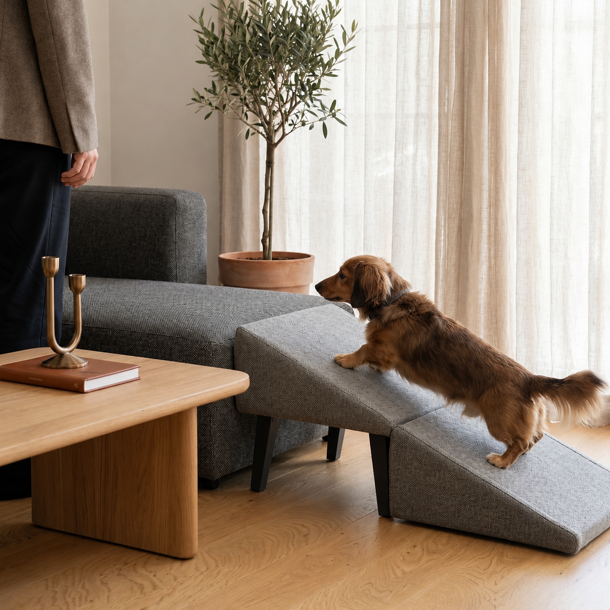 Dog Ramp - Wooden Dog Stair Steps
