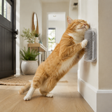 Cat Wall Scratcher Self Grooming Brush Corner Massage Tool