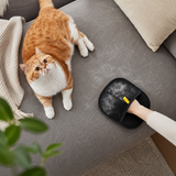Cat Pet Hair Remover Grooming Glove Furniture