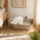 Cat Disposable Easy Clean up Litter Tray Eco Friendly Open Litter Box