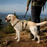 Reflective Tactical Dog Harness No Pull Adjustable For Walking