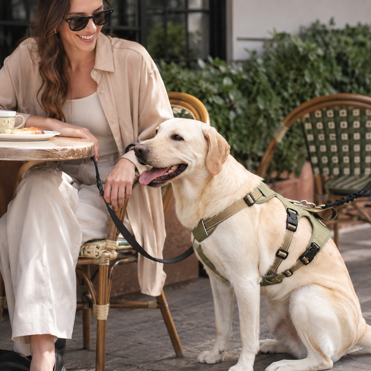 Reflective Tactical Dog Harness No Pull Adjustable For Walking
