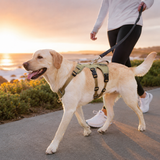 Reflective Tactical Dog Harness No Pull Adjustable For Walking