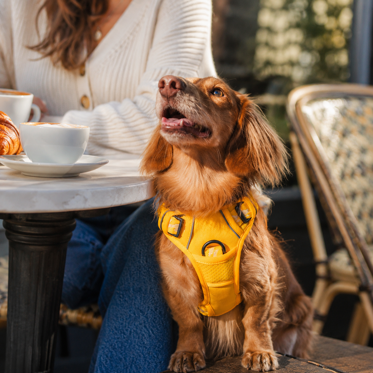 Dog Harness No Pull Reflective Adjustable Vest