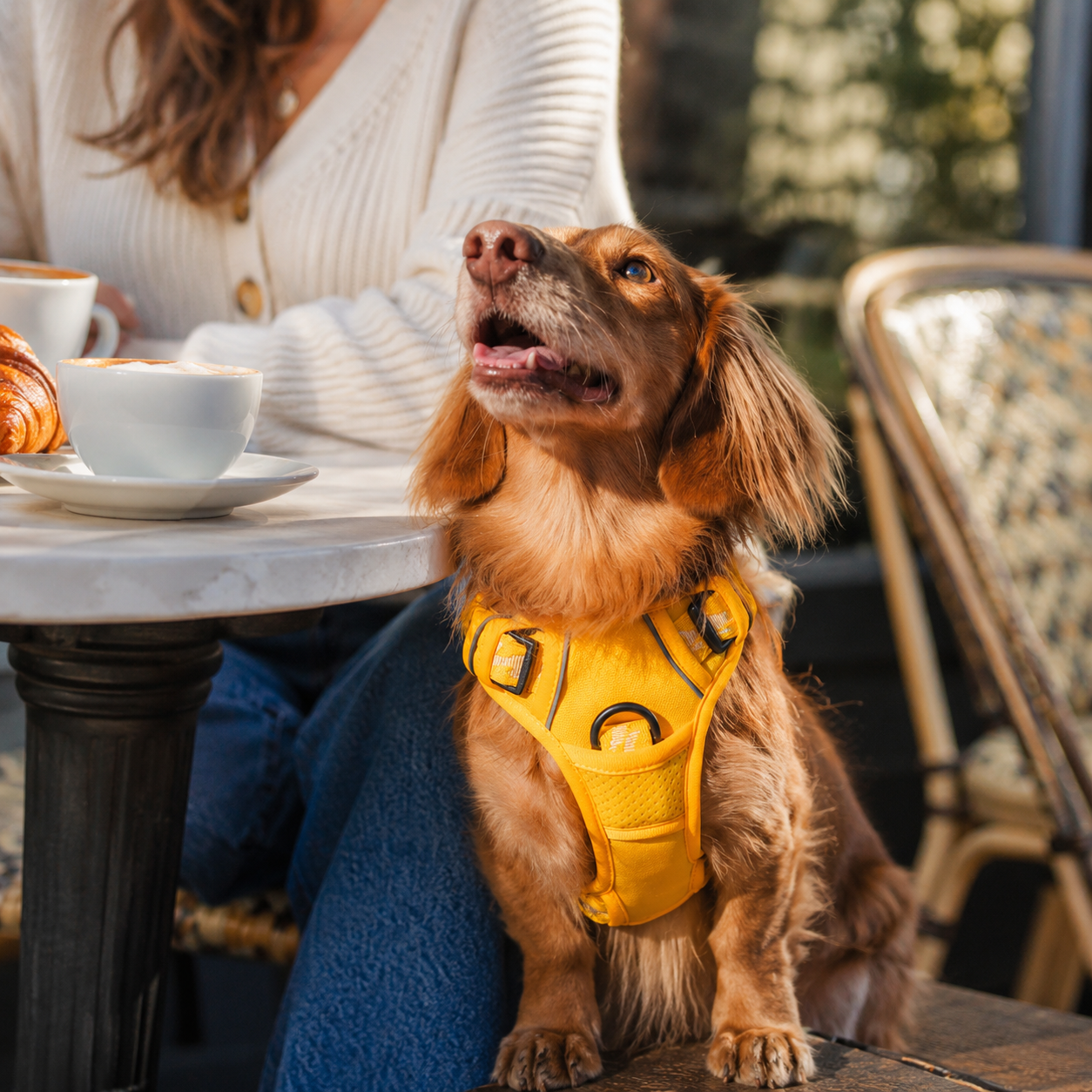 Dog Harness No Pull Reflective Adjustable Vest