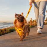 Dog Harness No Pull Reflective Adjustable Vest