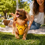 Dog Harness No Pull Reflective Adjustable Vest