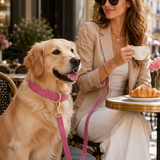 Dog Collar and Leash Set Velvet For All Dog Sizes