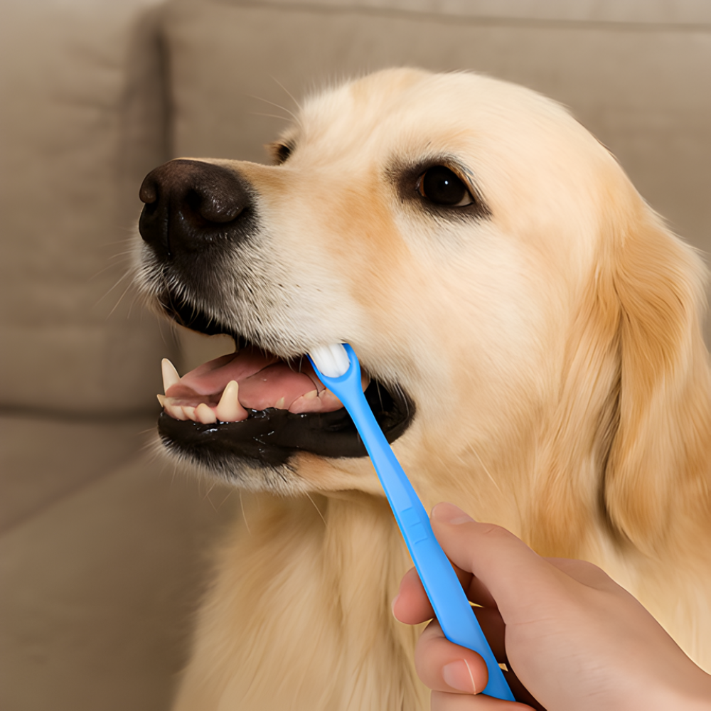 Dog Toothbrush Soft Bristle Pet Dental Care Teeth Cleaning (3-Pack)