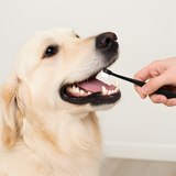 Dog Toothbrush Soft Bristle Pet Dental Care Teeth Cleaning (3-Pack)