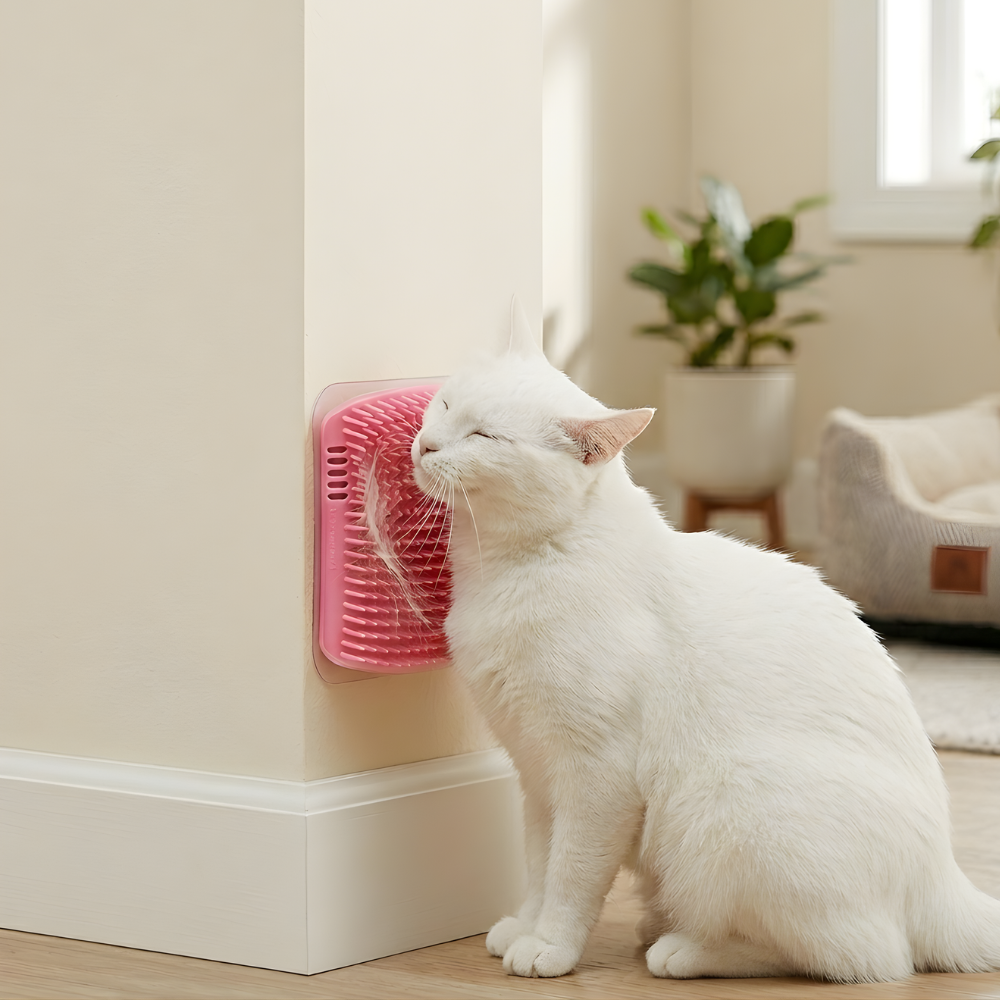 Cat Wall Scratcher Self Grooming Brush Corner Massage Tool