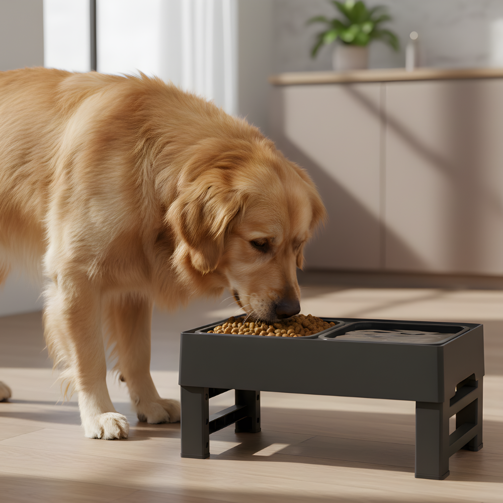 Elevated Dog Bowl Stand Raised Feeder Double Bowls Large