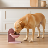 Dog Raised Bowl Elevated Feeder Stand