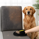 Dog Hair Remover Glove Reusable Sofa Fur Cleaner