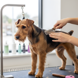 Dog Grooming Comb Deshedding Pet Hair Remover Brush