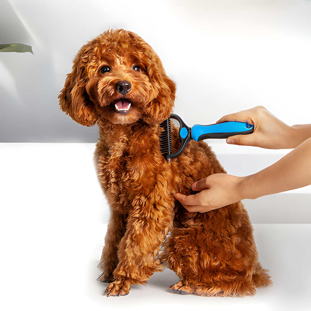Detangling and Massage Dog Brush Grooming
