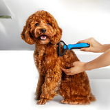 Detangling and Massage Dog Brush Grooming